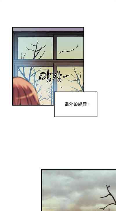 第259頁圖
