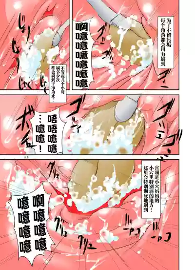 第43页图