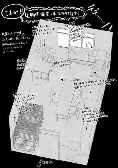 第23頁圖