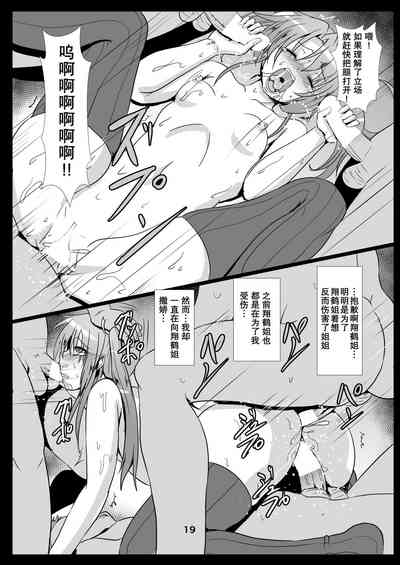 第19页图