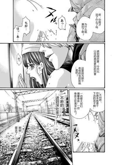 第31頁圖
