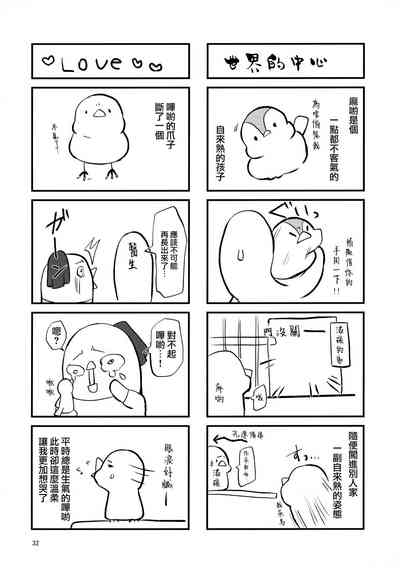 第31頁圖