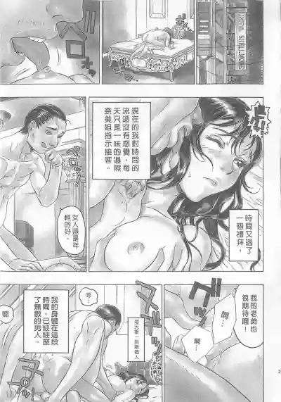 第31頁圖