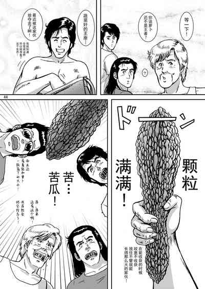 第43頁圖
