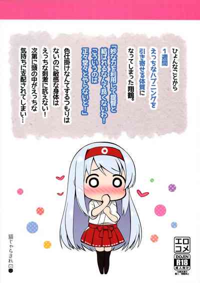 第27頁圖