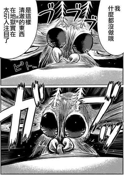 第23页图