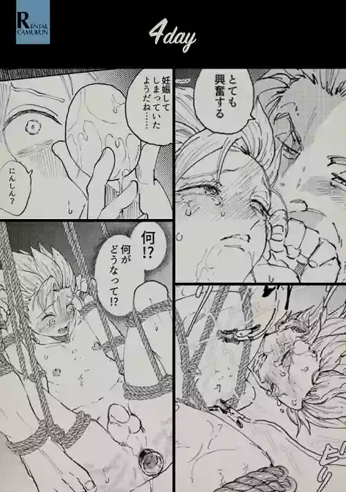 レンタルかみゅくん4day圖