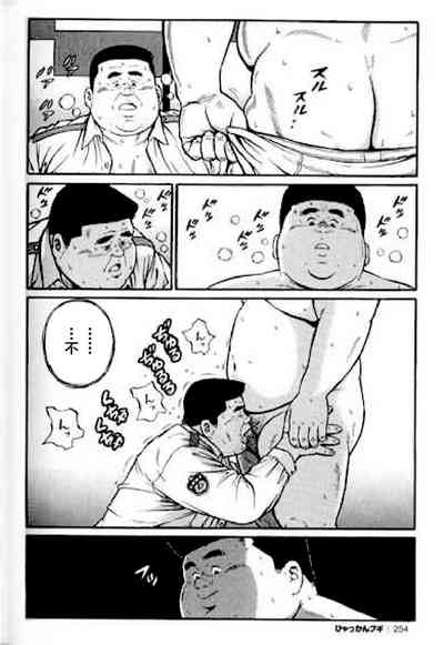 第255頁圖