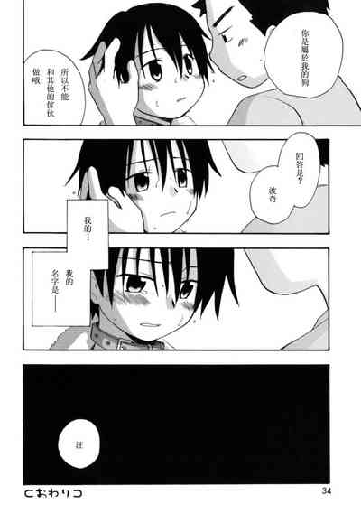 第31頁圖