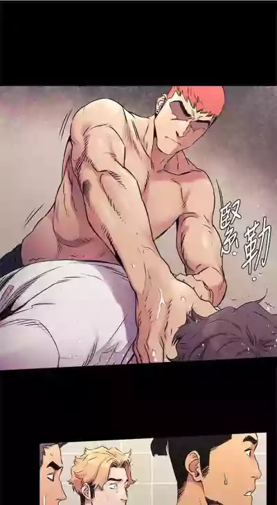 第295頁圖