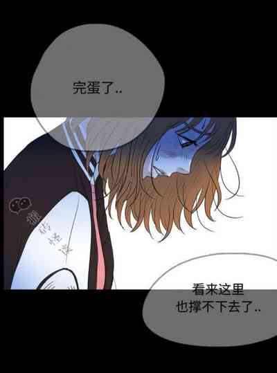 第95頁圖