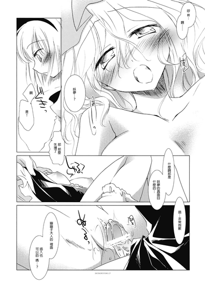 第27頁圖
