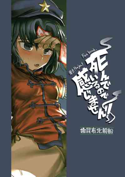 第23頁圖