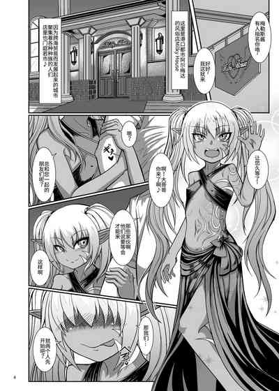 第3頁圖