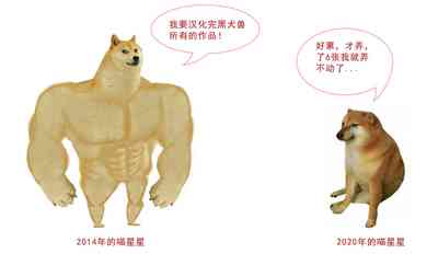 第11页图