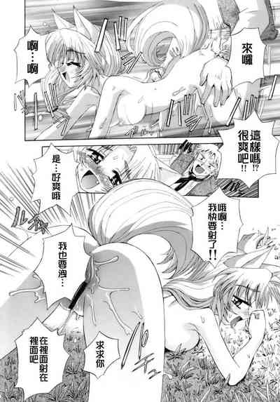 第155頁圖
