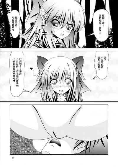 第19頁圖