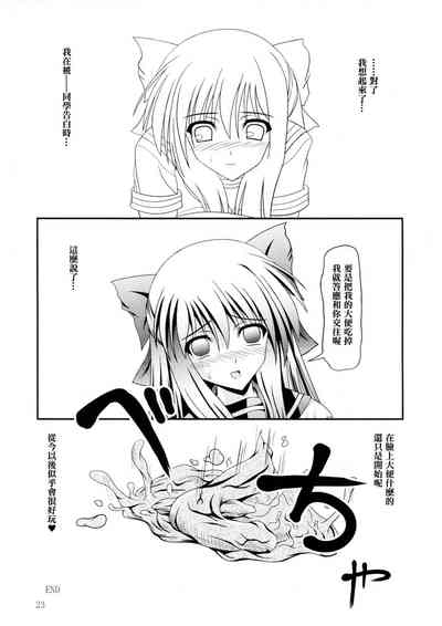 第23頁圖