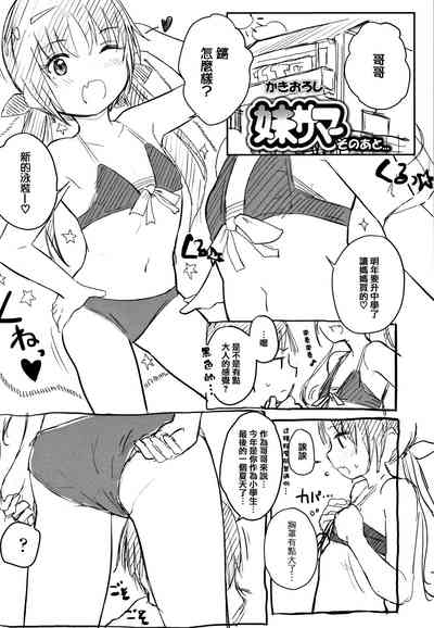 第211頁圖