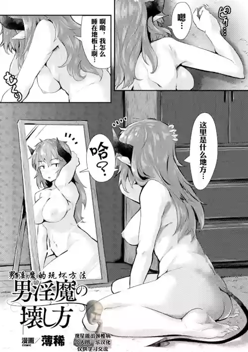 Incubus no Kowashikata |男淫魔的玩坏方式图