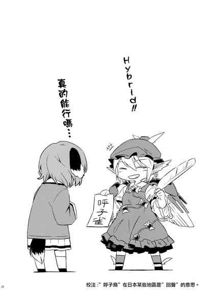 第19頁圖