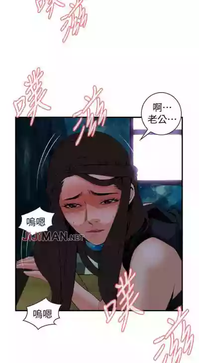 第255頁圖