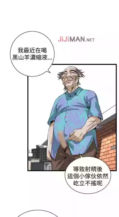 第535頁圖