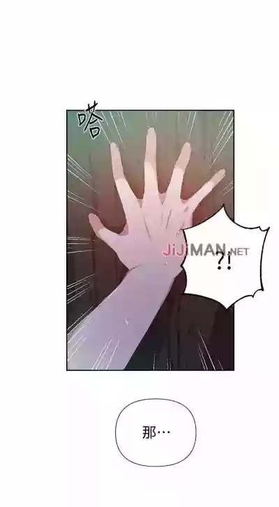 第239頁圖