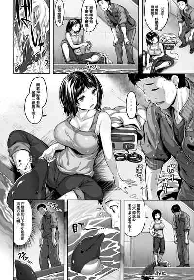 第127頁圖