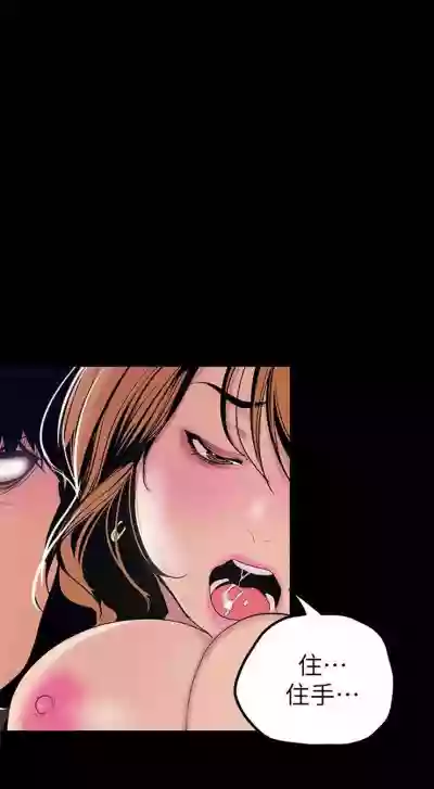 第303頁圖