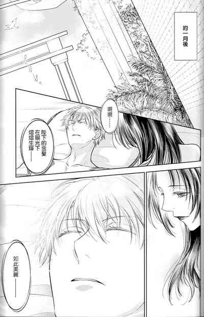第31頁圖