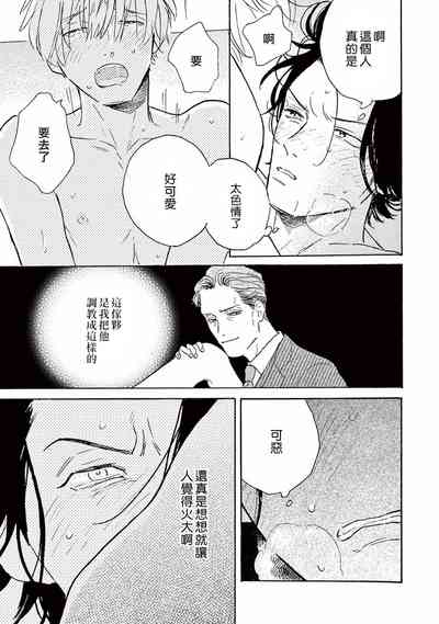 第55頁圖