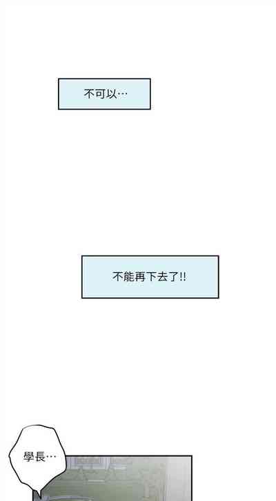 第575頁圖