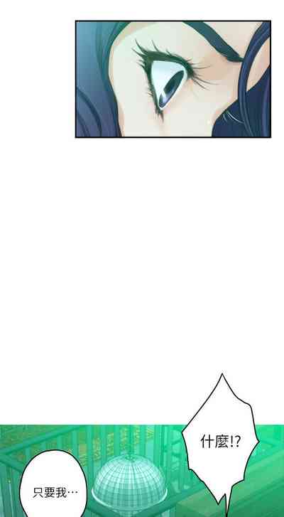第619頁圖