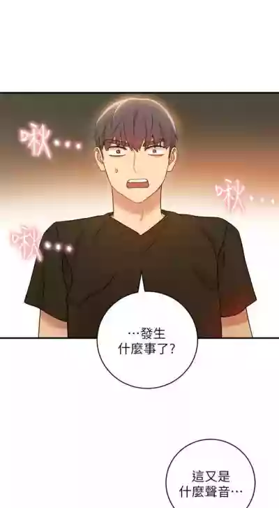 第207頁圖