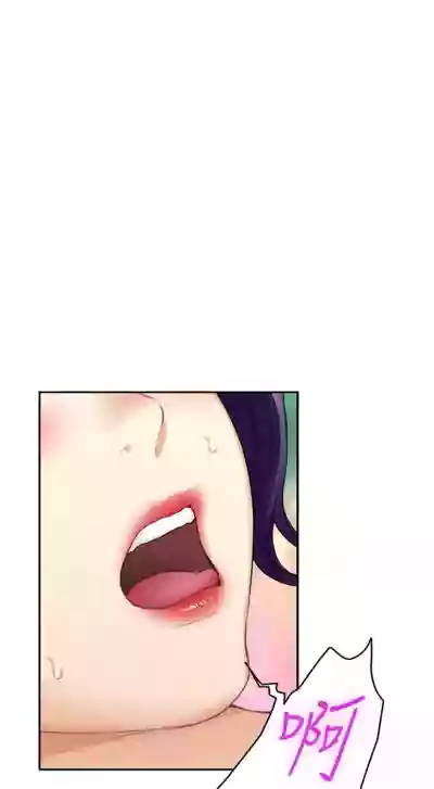 第419頁圖