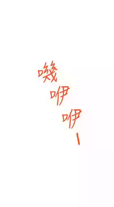 第427頁圖