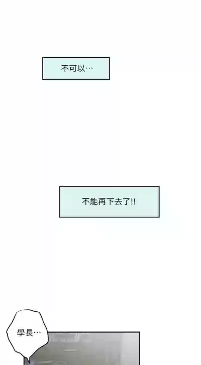 第575頁圖