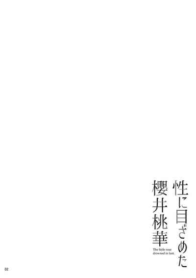 第3页图