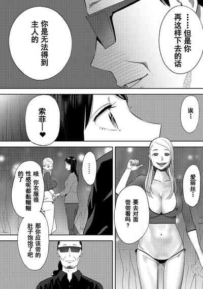 第523页图