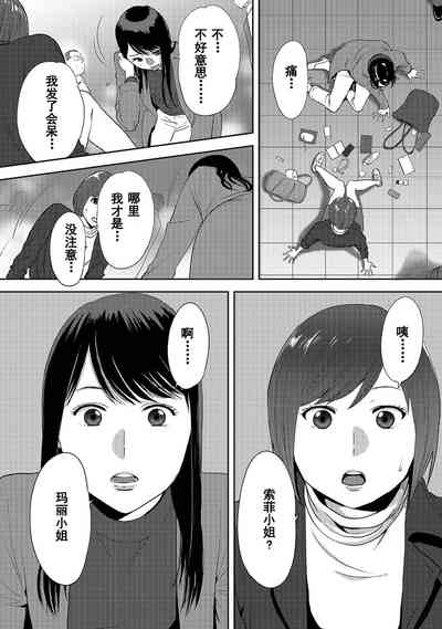 第527页图
