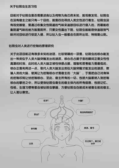 第215頁圖