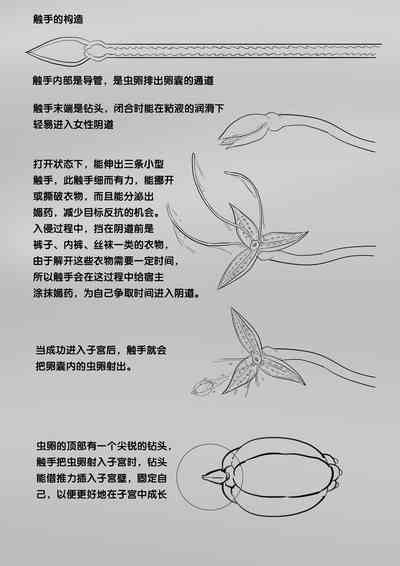 第219頁圖
