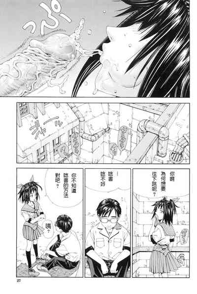 第31頁圖
