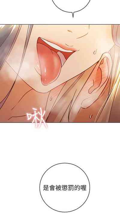 第331頁圖