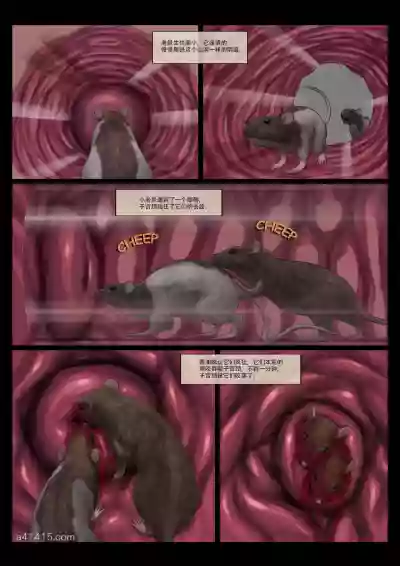 第79頁圖