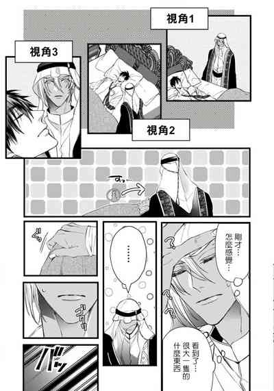 第11頁圖
