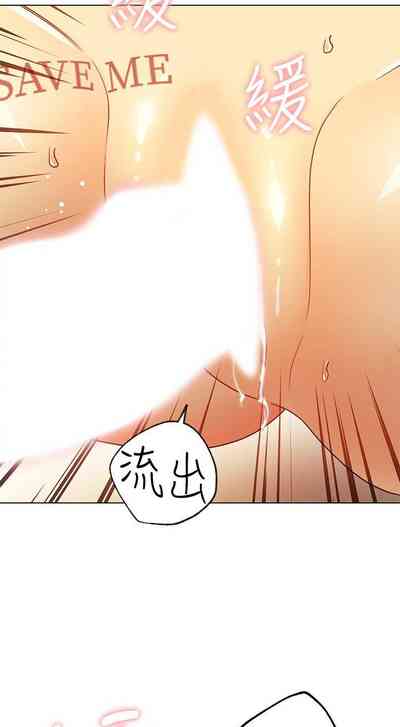 第335頁圖