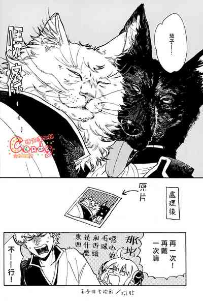 第31頁圖