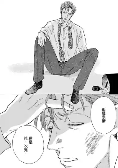 第275頁圖
